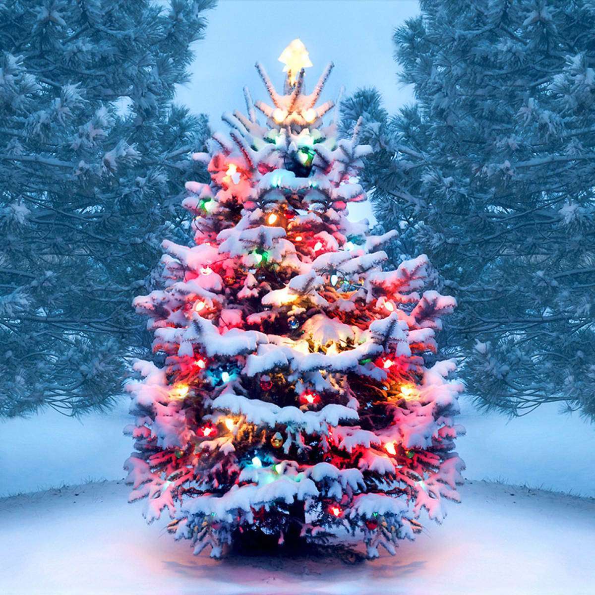 Merry Christmas!
