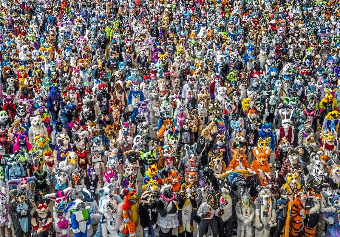 Unveiling the Numbers: How Many Furries Are There?