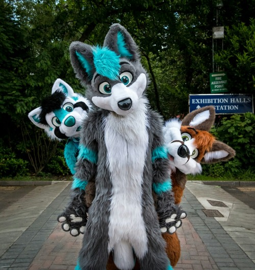 What are Furries?