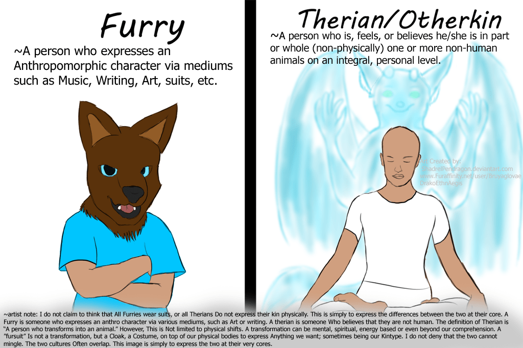 Furries Vs Therians Fandoms Identities Key Differences