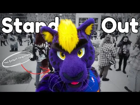 My Honest Advice For Getting Furries to Notice You