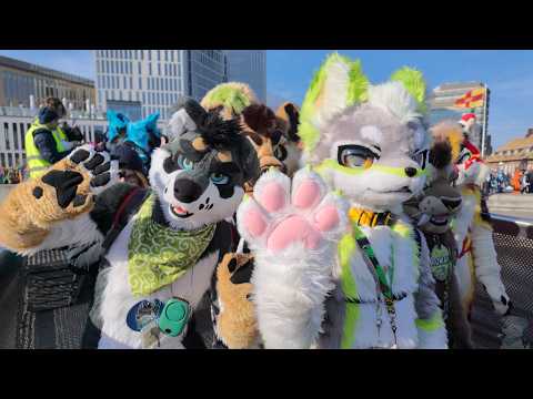 Nordic Fuzz Con 2025 Full Fursuit Parade!