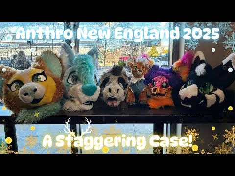 Anthro New England 2025: A Staggering Case!