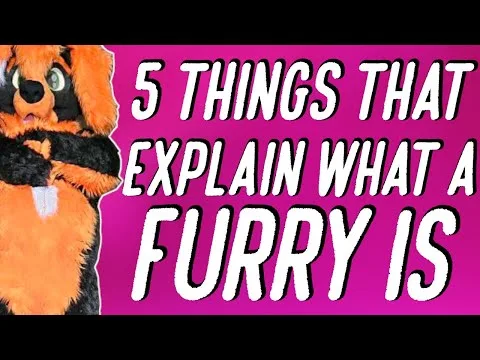 5 THINGS THAT EXPLAIN WHAT A FURRY IS