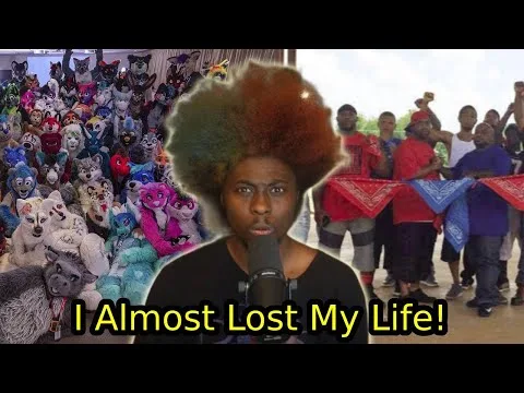 A Pack Of Furries Saved Me From Gangmembers