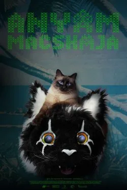 Mom’s Cat: Short Film from Hungary Captures the Furry Angst of Rejection