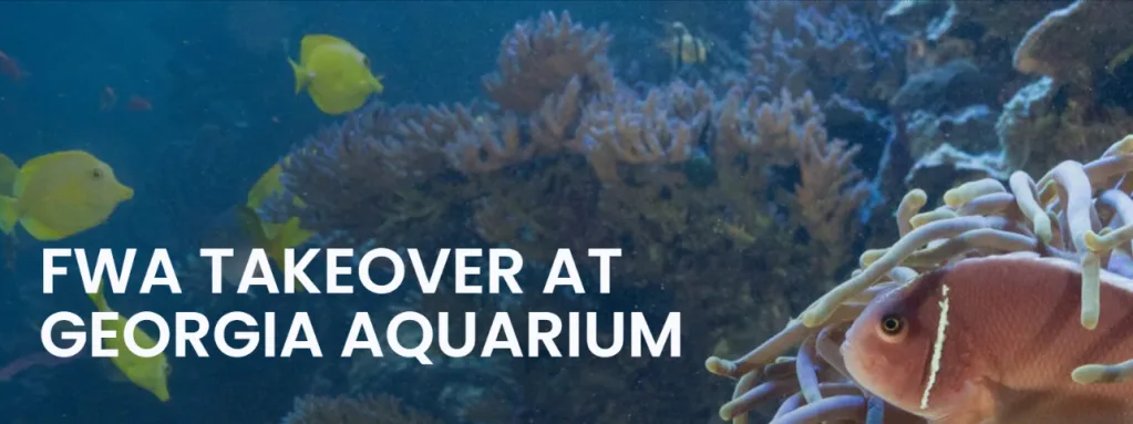 FWA @ Georgia Aquarium