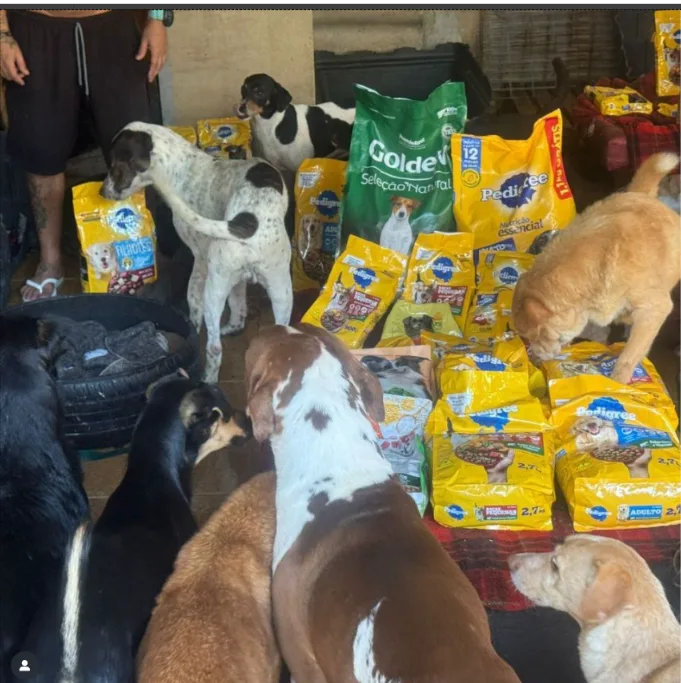 Your Donations : BFF Edition