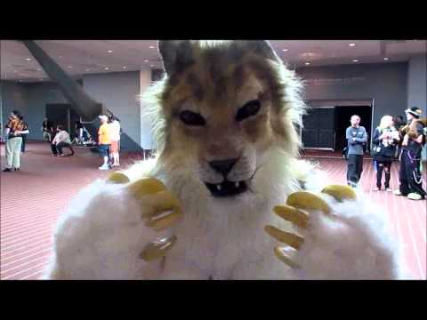 A Salute to Spottacus Cheetah