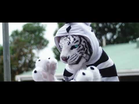 Furconz 2025 Camp (4k)