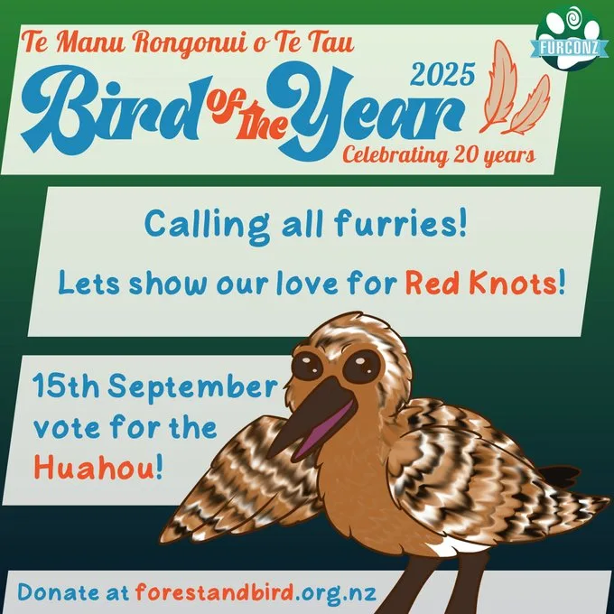 New Zealand Bird of The Year