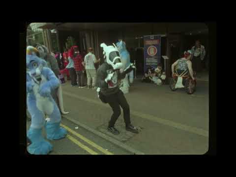 Confuzzled 2025 on 16mm