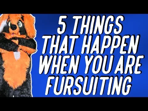 5 THINGS THAT HAPPEN WHEN YOU ARE FURSUITING