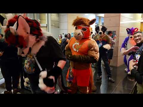 Brasil FurFest 2025: Fursuit Parade (POV da entrada do centro de convenções do hotel)