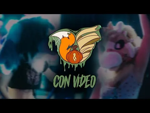 TTFC 2025 Con Video (Tails and Tornadoes Fur Con)