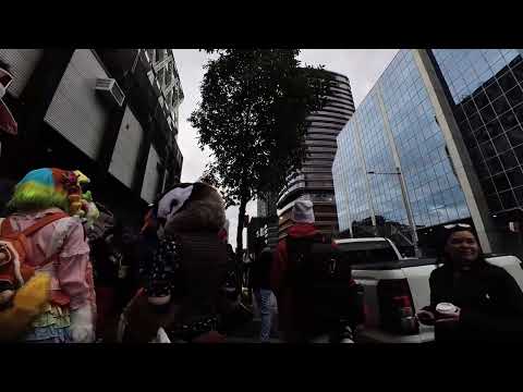 Aurawra 2025 Fursuit Walk | Hades POV