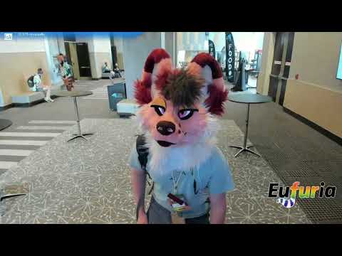 Eufuria 2025 Timelapse