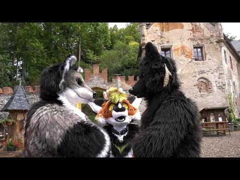 Furrstein: School of magic and wizardry