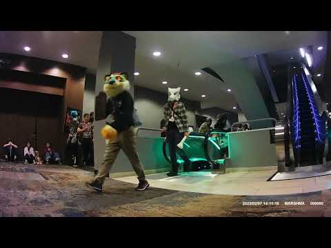Fursuit Parade FM2025