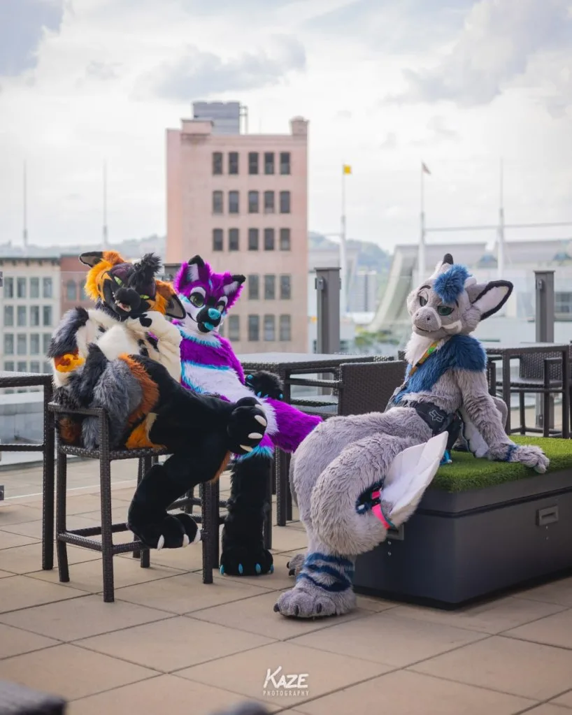 Anthrocon Issue Hotel Warning