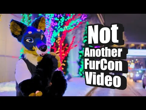 This Is Why I HATE Con Videos