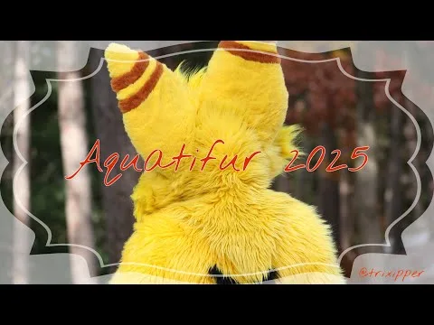Dipper’s Aquatifur 2025