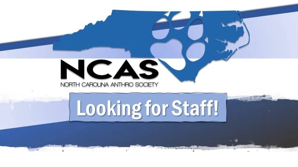 NCAS Looking for Staff