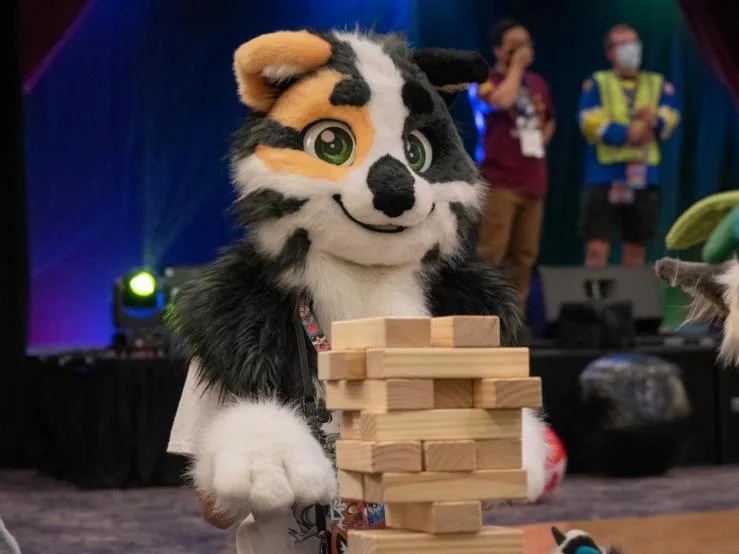 IFC 2026 – DJ Applications Now Open