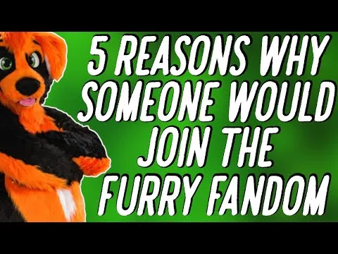 5 REASONS WHY SOMEONE WOULD JOIN THE FURRY FANDOM