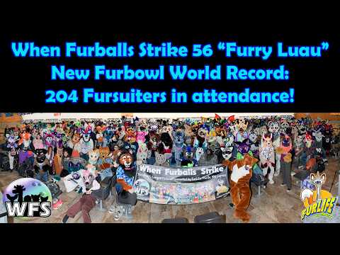 When Furballs Strike Kenmore, WA USA