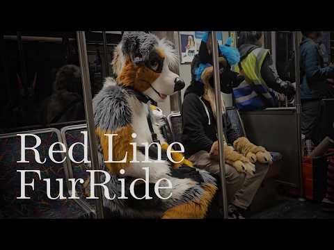 Red Line FurRide Boston