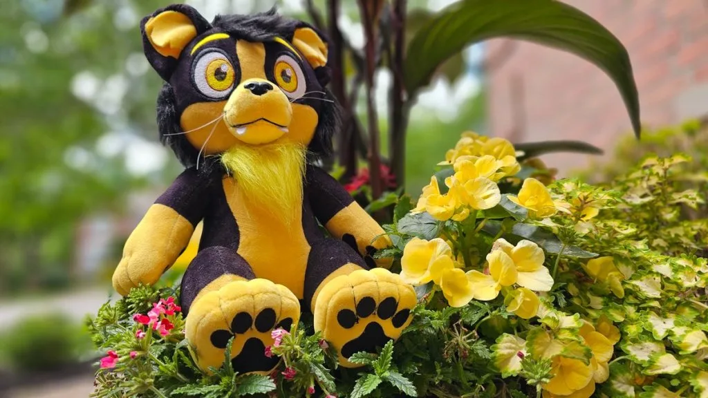 Anthrocon to offer Anthrocat