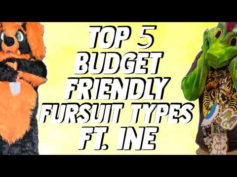 TOP 5 BUDGET FRIENDLY FURSUIT TYPES ft. Ine