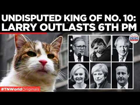 LARRY THE BOSS: UK’s Chief Mouser ‘Larry The Cat’ Outlasts His 6th PM In 10 Downing Street