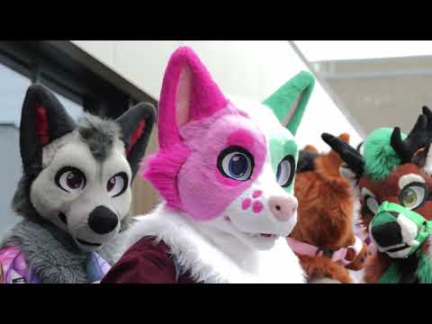 Furnavia 2025 Aftermovie