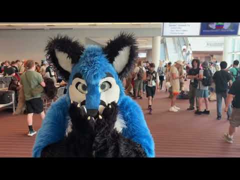 Anthrocon 2026 Video