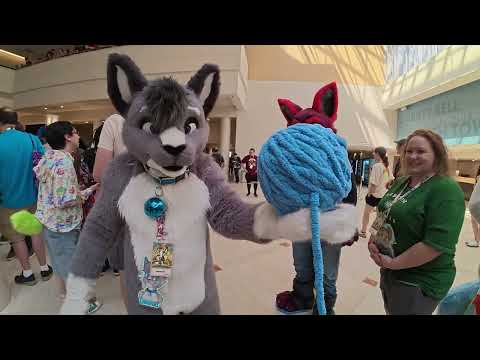 Furrydelphia 2025 Official Video