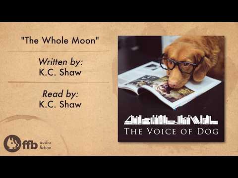 “The Whole Moon” | Voice of Dog Podcast