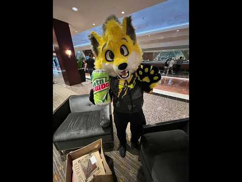 Texas Furry Siesta 2026 day 1 part 1